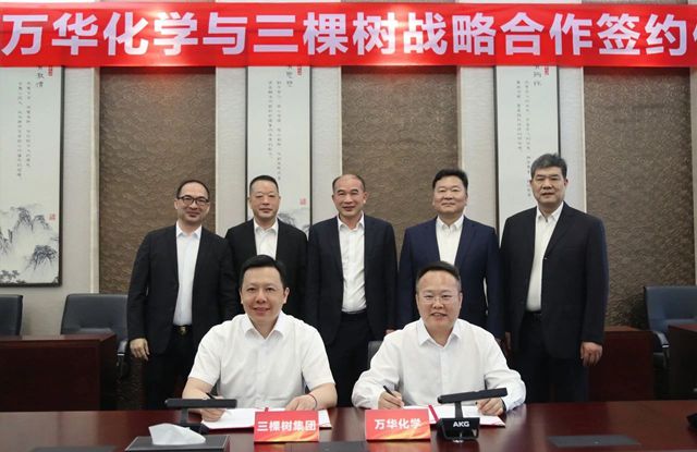 三棵树和万华化学联姻，能否让国产工业涂料在高端市场“起飞”？