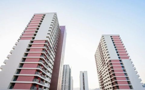 国漆崛起！解码三棵树仿石漆五年市占率第一的"霸榜密码"