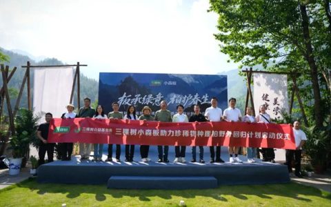 守护珍稀物种崖柏 三棵树助力保护生物多样性