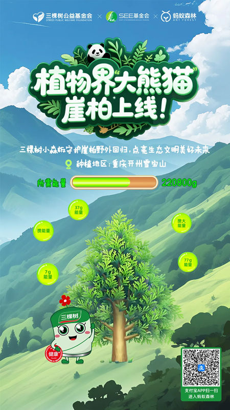 崖柏归来！三棵树邀你开启植物界“大熊猫”野外回归之路！