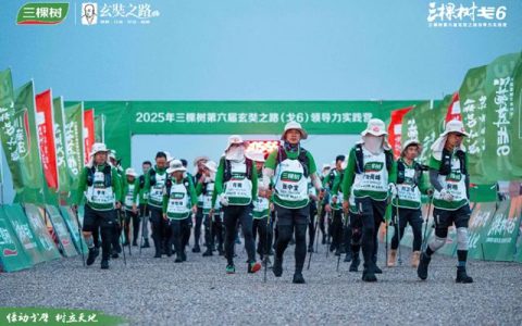 三棵树戈6 突破A段挑战，进发B段新征程