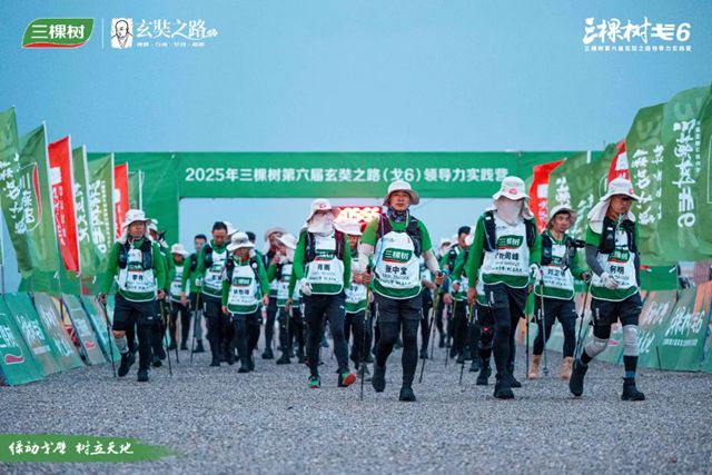 三棵树戈6 突破A段挑战，进发B段新征程
