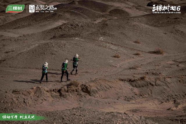 三棵树戈6 突破A段挑战，进发B段新征程