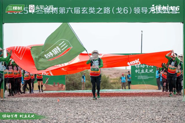 三棵树戈6 突破A段挑战，进发B段新征程