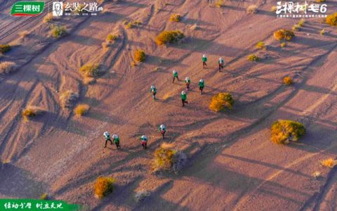 绿动戈壁 树立天地丨三棵树戈6 第六、七日：穿谷越山，愈战愈勇！