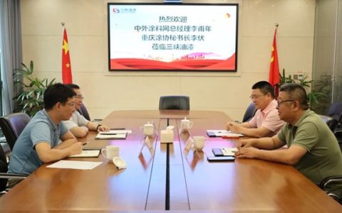 三峡油漆与中外涂料网、重庆涂协开展品牌建设座谈会
