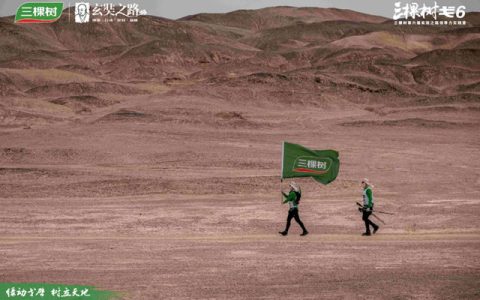 “熬”出来的伟大！三棵树戈6玄奘之路见证企业韧性生长