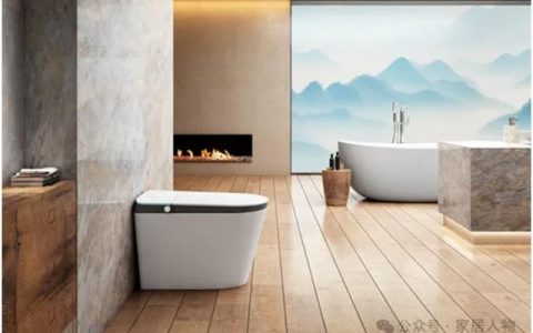 帝王洁具旗舰K20 MAX云净智能坐便器发布