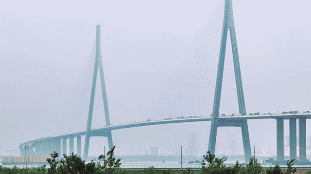 苏通长江公路大桥：海虹老人守护的天堑传奇