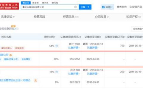 555万撬动200亿市场！比亚迪突然入股汽车原厂漆民族品牌，外资巨头连夜开会降价