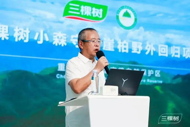 三棵树小森板战略升级 开启健康美学家居空间新时代