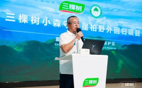 荔志向上 自然出色丨三棵树守护珍稀物种，助力崖柏野外回归