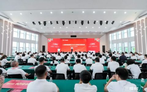美缝剂全国零售销量第一！三棵树健康胶2025峰会聚势启新