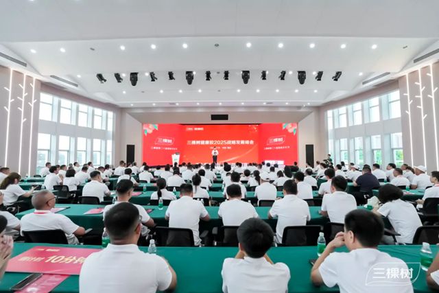美缝剂全国零售销量第一！三棵树健康胶2025峰会聚势启新