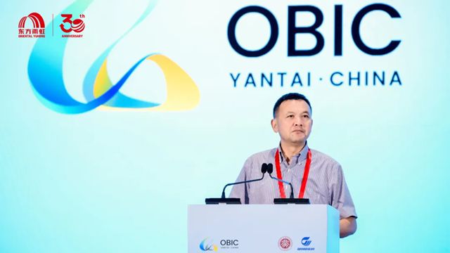 李卫国出席2025八角湾创新大会暨纳米材料与器件创新发展大会并作主题发言