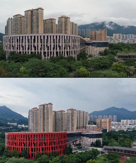 国漆点亮城市文化地标 三棵树助力莆田市博物馆焕新