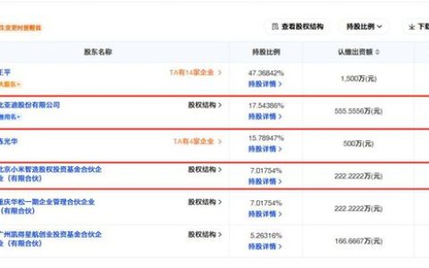 比亚迪与小米“抢投”华辉涂料！民族品牌如何重构汽车产业链？