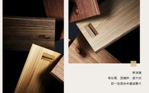 涂装臻品 | 展辰爱木ZWA580A的隐奢系美学提案