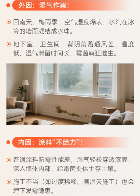 亚士长效防霉科技终结墙面霉变！从一面好墙开始！