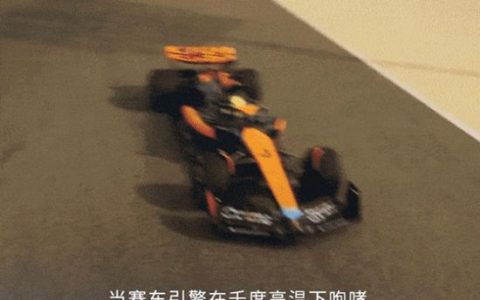 阿克苏诺贝尔之“最”
