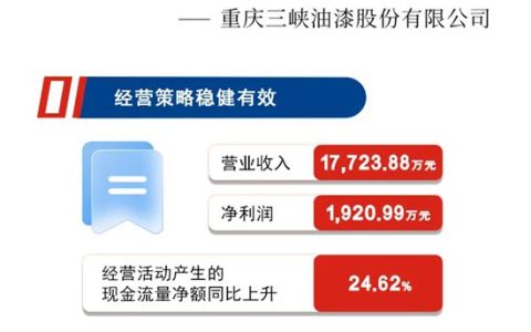 一图看懂三峡油漆2025半年度报告