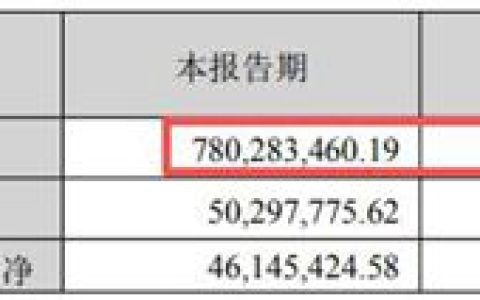 营收净利双降仍逆势扩张！光华股份靠啥打动PPG等巨头，还在全球悄悄建工厂？