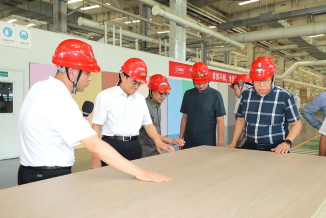 推动家居新材料技术革新！三棵树“实木水漆板”获评“国际领先”
