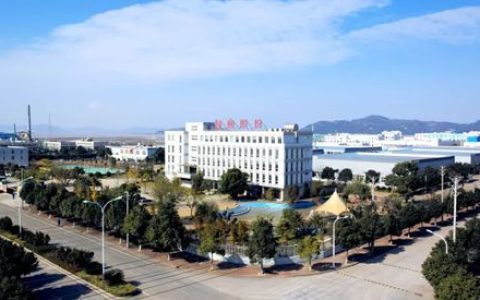 入选国家重点“小巨人”！浙江鱼童让巨轮穿上“中国甲”