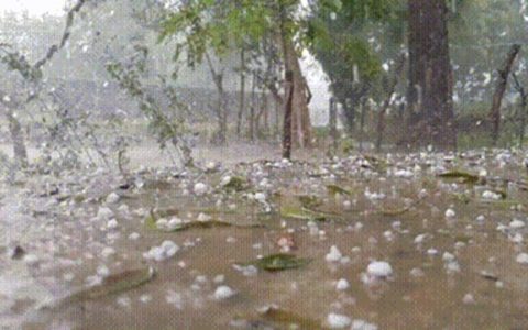 冰雹考验下，东方雨虹TPO交出完美答卷