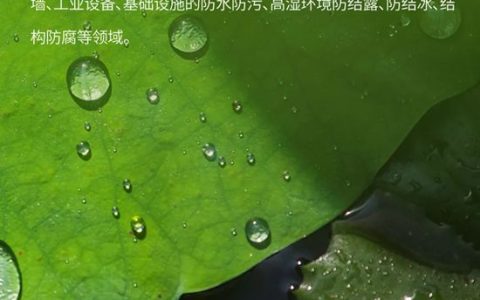2025紫荆花重点产品推荐-高性能纳米超疏水涂料