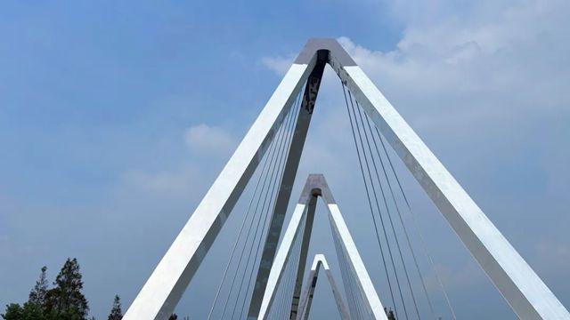 绿色防护 恒久守护 I 三棵树工业涂料助力上海崇明东平河大桥焕新启航