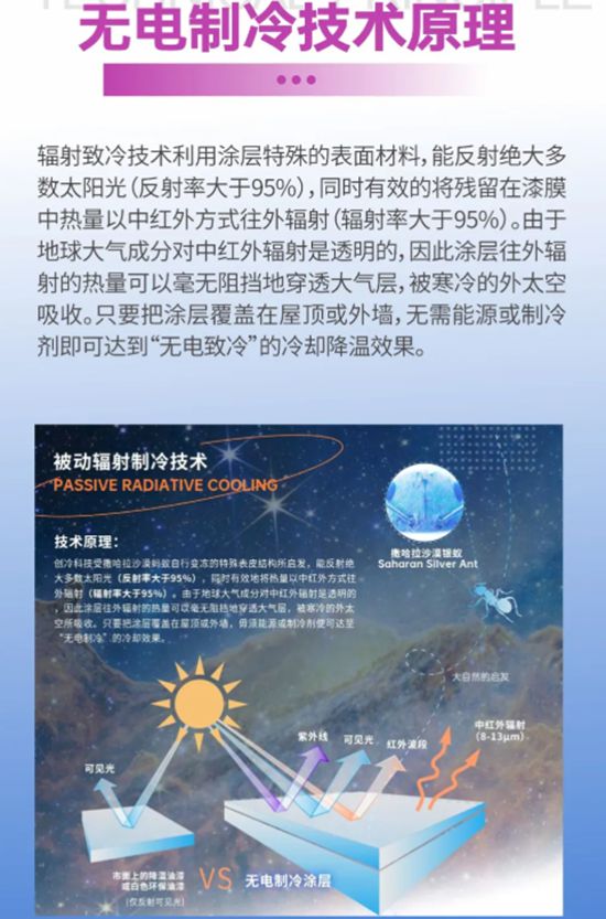 紫荆花高性能无电致冷涂料以创新科技助力低碳节能新方案