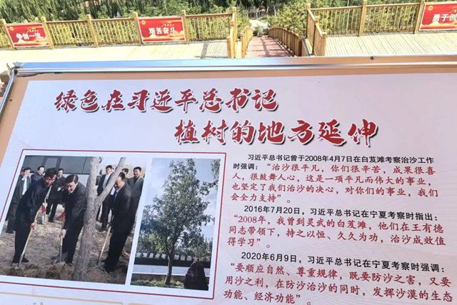 以行动续写绿色承诺，“展辰生态守护林”再植新绿