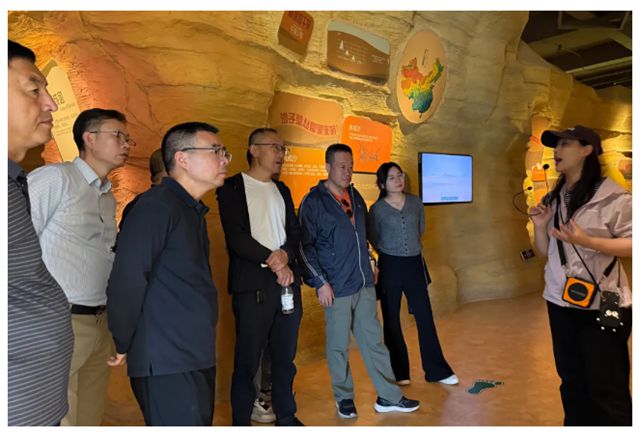 以行动续写绿色承诺，“展辰生态守护林”再植新绿