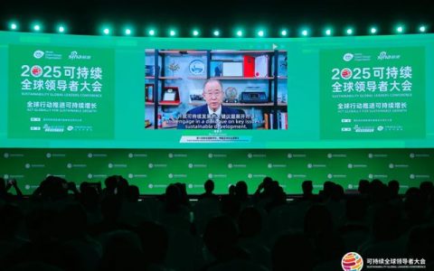 宣伟亮相2025可持续全球领导者大会
