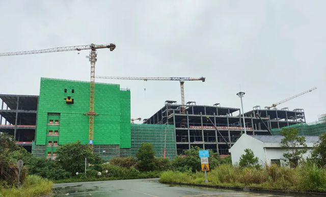 三棵树工业涂料为深圳国际综合物流枢纽筑牢钢铁脊梁