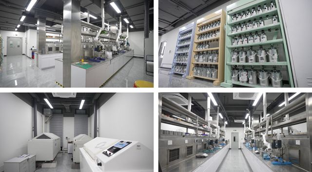 贝格集团加码在华投资，剑指高增长市场