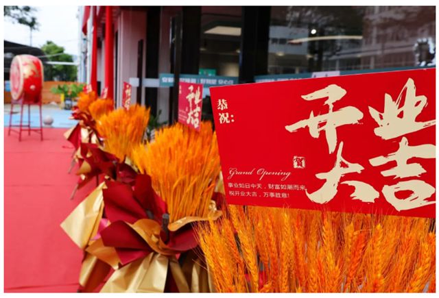 签约不断！2025 安彩别墅焕新财富论坛（厦门站）硕果收官，共拓新局！