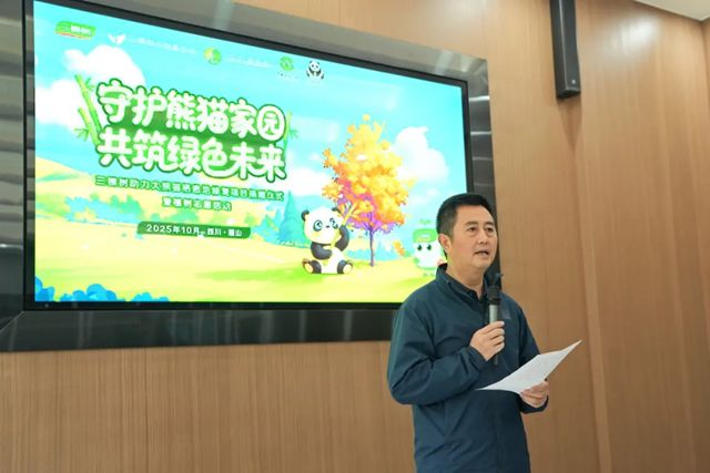 守护熊猫家园，共筑绿色未来丨三棵树助力大熊猫栖息地修复