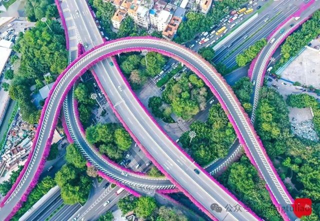 全运焕新！金陵环保漆为第十五届广州全运会焕新添彩