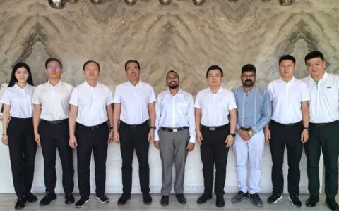 三棵树亚非万里行：以系统性布局领航全球化新篇