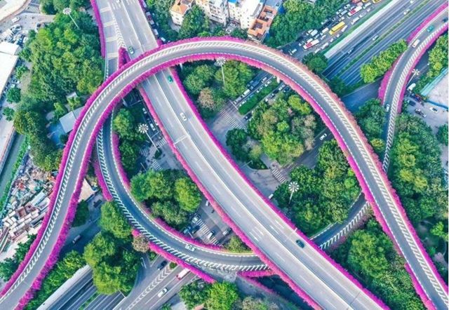 不止是火炬手！马琳以美涂士大使身份，点亮绿色全运“双重火炬”