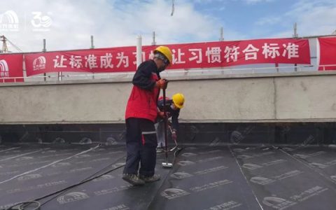 匠心筑就美好人居，东方雨虹荣膺“白玉兰奖”