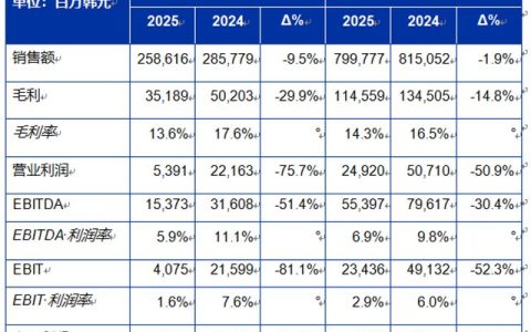 SONGWON Industrial Group公布 2025 年第三季度财务业绩