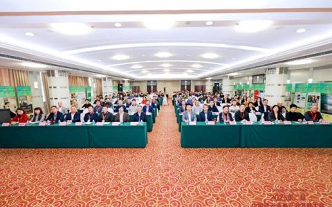 东鹏整装卫浴浴室柜荣获全国适老化设计大奖