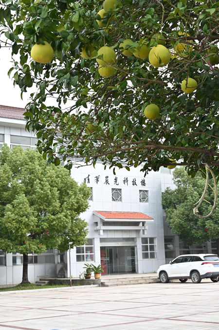 主动砍掉房地产项目，看似丢掉肥肉，实则躲过一劫 ——访晨光涂料董事长缪国元