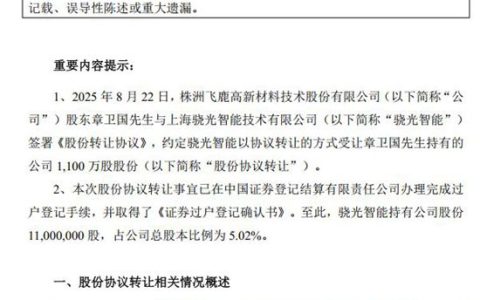 豪掷4.48亿！神秘美女操盘手接手飞鹿，是代持还是接盘侠？