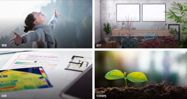 德爱威 | 德国建筑涂料巨头Murjahn家族的百年征“涂”