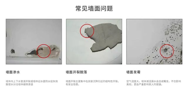 无胶体系，环保安心|紫荆花无胶墙面一体化涂装系统，助您打造健康美好的家