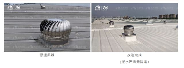 东方雨虹TPO：助力老旧工业厂房焕发新生